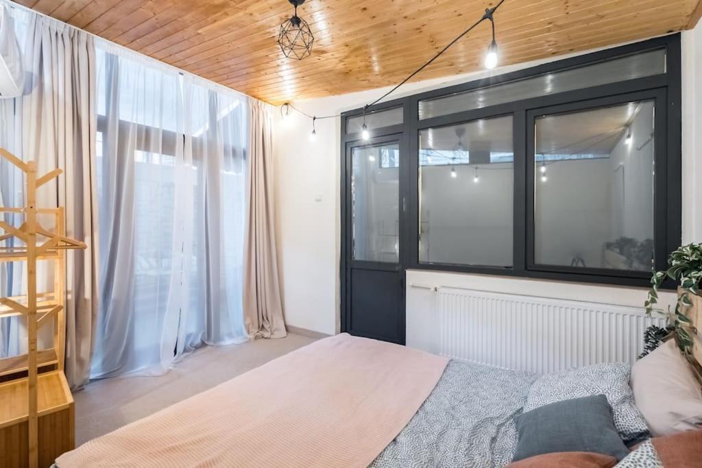 Downtown Urban Spot Jacuzzi&cinema Universitate Apartment